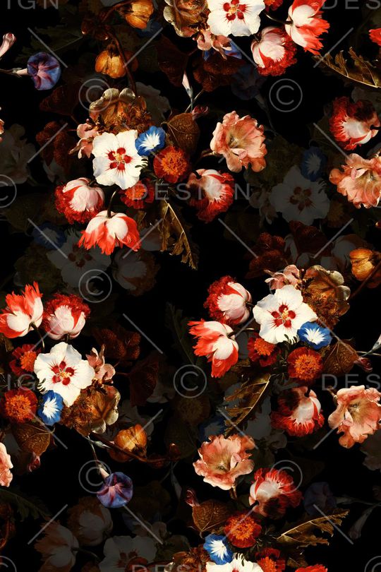 油画花卉印花华亿平台图片