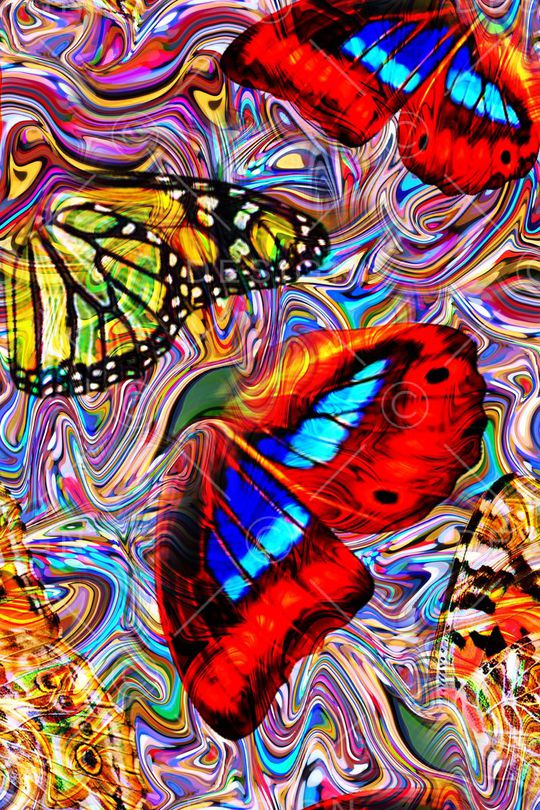 蝴蝶。纹理印花华亿平台图片