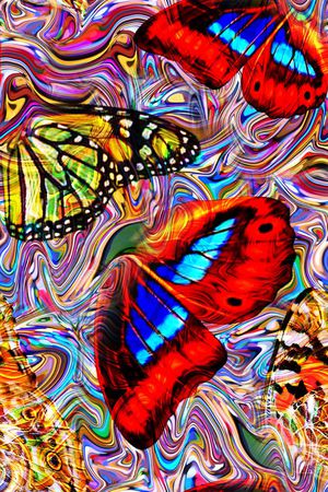 蝴蝶。纹理印花华亿平台图片