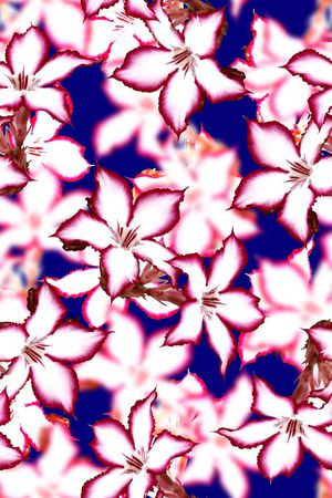 时尚抽象3D女装裙子花卉印花印花华亿平台图片