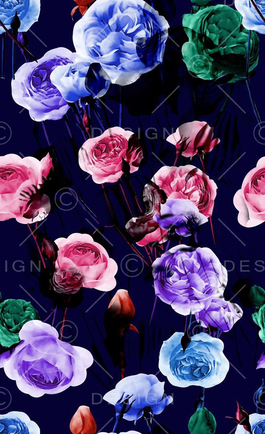 玫瑰花印花华亿平台图片