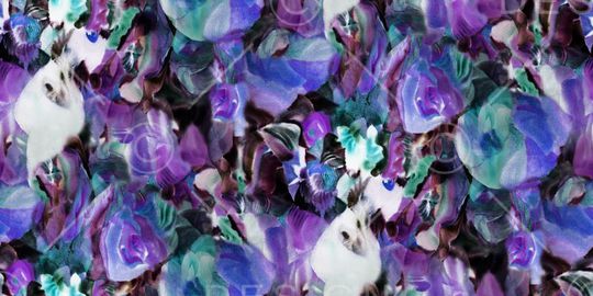 印花华亿平台图片