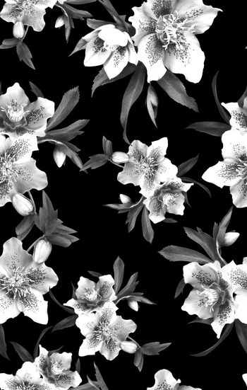 645223-复古女装写实花卉1