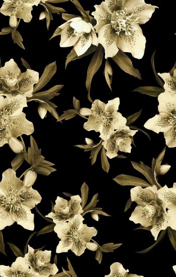 645224-复古女装写实花卉2