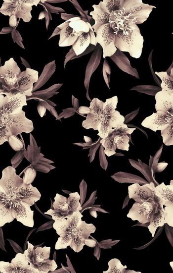 645225-复古女装写实花卉3