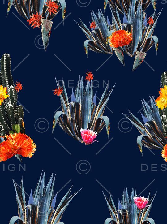 流行仙人掌印花华亿平台图片