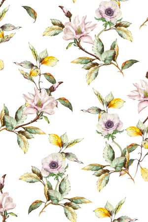 女装印花华亿平台图片