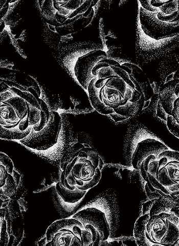 645462-wal-160605-1-1