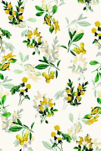 645540-2016-6-6水彩水果2