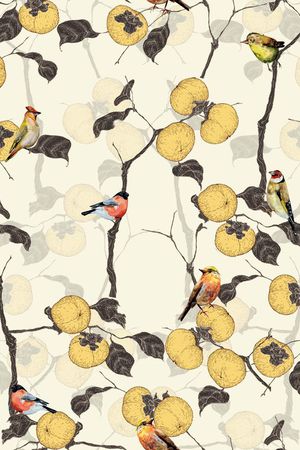 韩国风格裙装华亿平台印花华亿平台图片