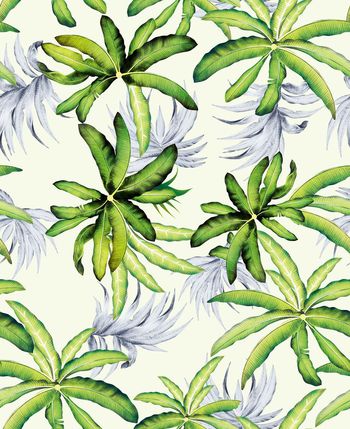 645593-芭蕉叶-06766c