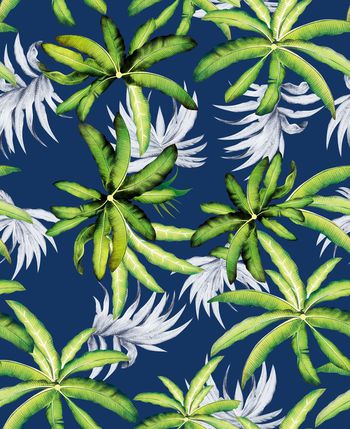 645594-芭蕉叶-06766d