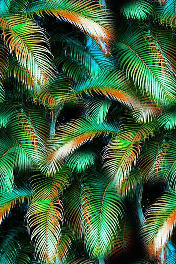 巴西印花华亿平台图片