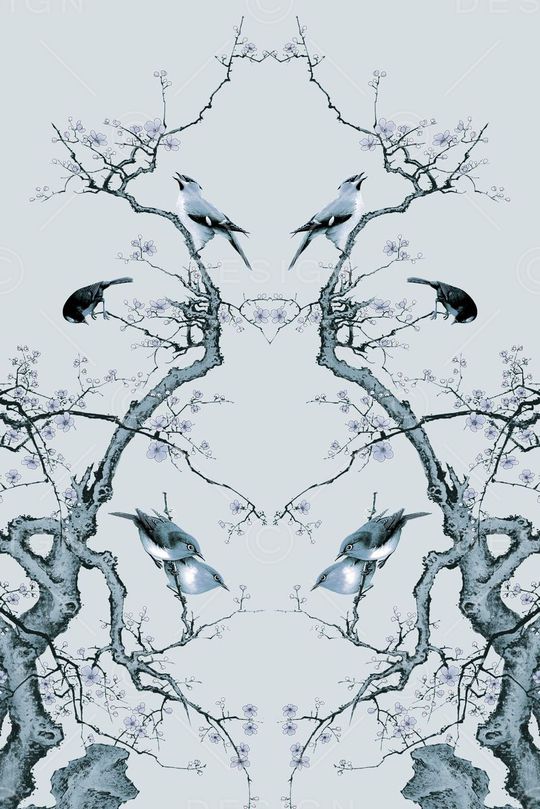 Fei-女装印花华亿平台图片