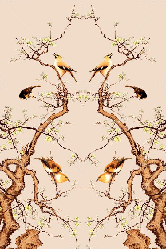 Fei-女装印花华亿平台图片