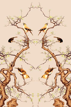 Fei-女装印花华亿平台图片