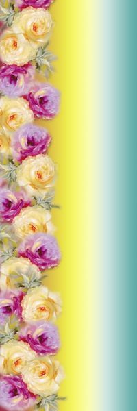 定位丝巾华亿平台印花华亿平台图片