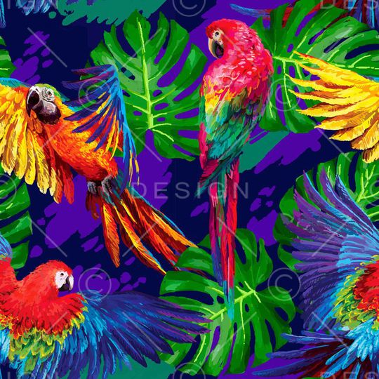 红嘴鹦鹉印花华亿平台图片