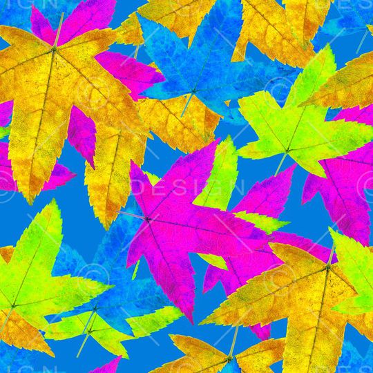 女装华亿平台印花华亿平台图片