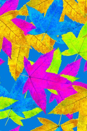 女装华亿平台印花华亿平台图片