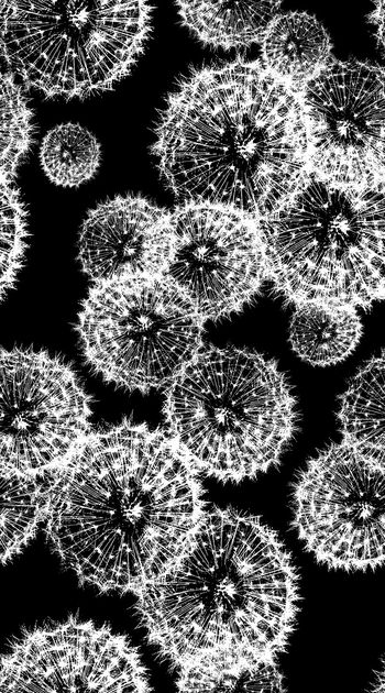 时尚印花华亿平台图片