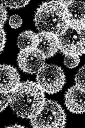 时尚印花华亿平台图片