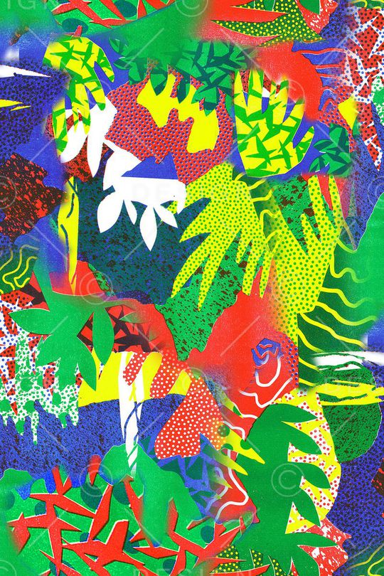 热带色彩印花华亿平台图片