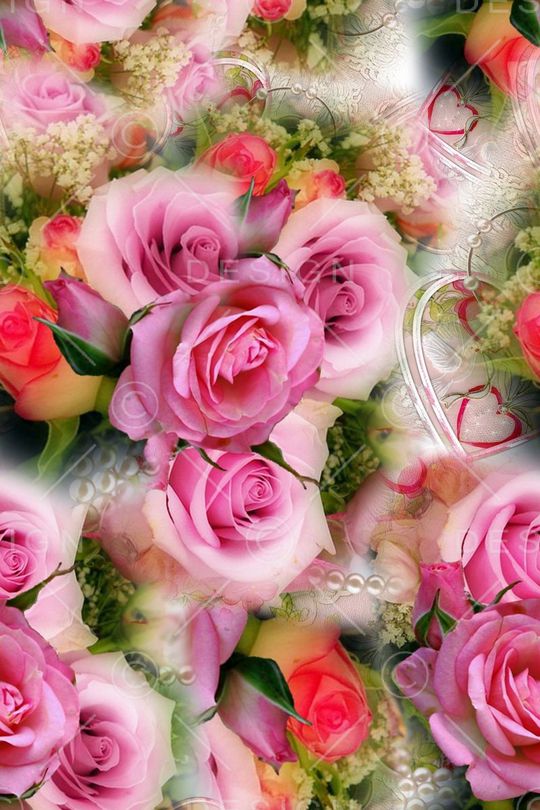 玫瑰印花华亿平台图片