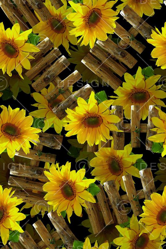 太阳花印花华亿平台图片