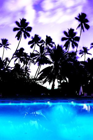 泳装印花华亿平台图片