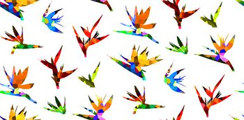 646410-色块花卉-a