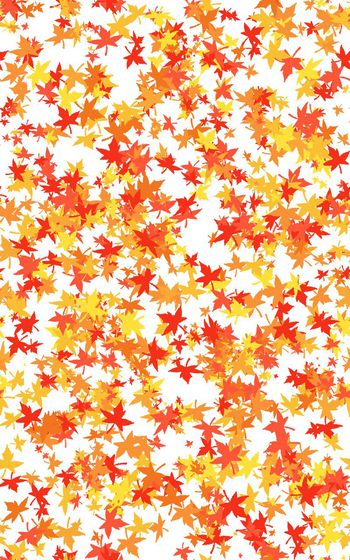 枫叶印花华亿平台图片