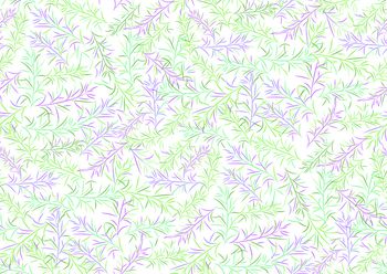 646453-植物叶子--a