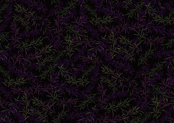 646454-植物叶子--b