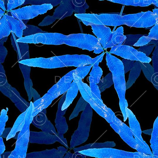 热带印花华亿平台图片