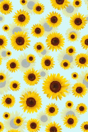 向日葵印花华亿平台图片