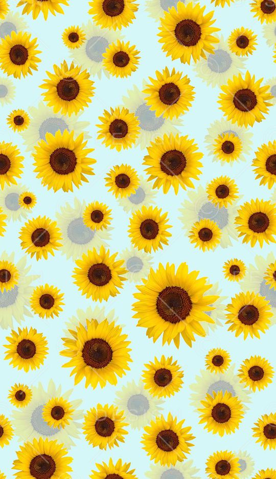 向日葵印花华亿平台图片