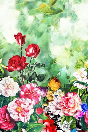 女装定位印花华亿平台图片