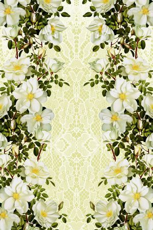 蕾丝印花华亿平台图片