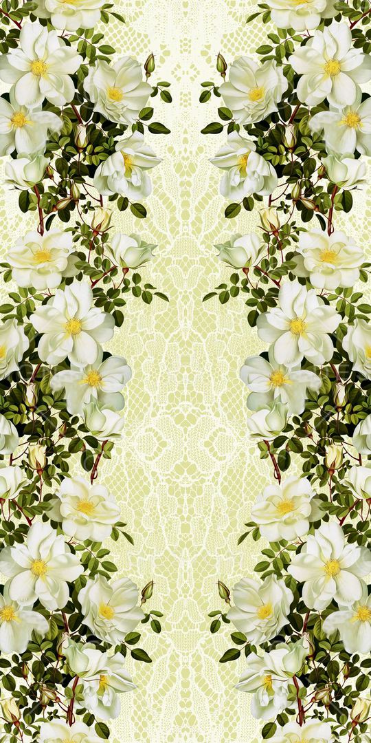 蕾丝印花华亿平台图片