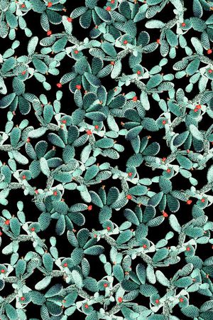 条纹印花华亿平台图片