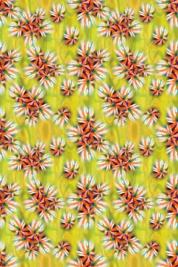 646696-10153ztkf 巴西（女装）2