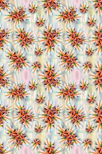 646697-10153ztkf 巴西（女装）2