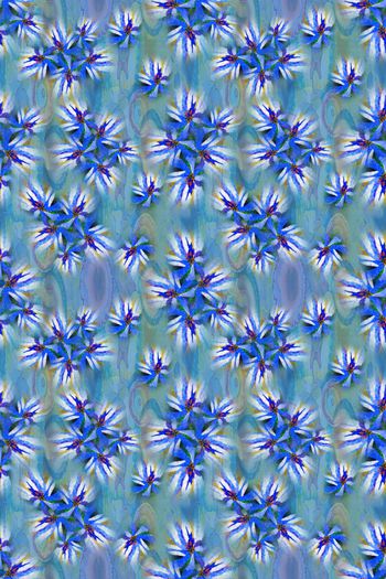 646699-10153ztkf 巴西（女装）2