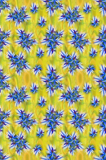 646700-10153ztkf 巴西（女装）2