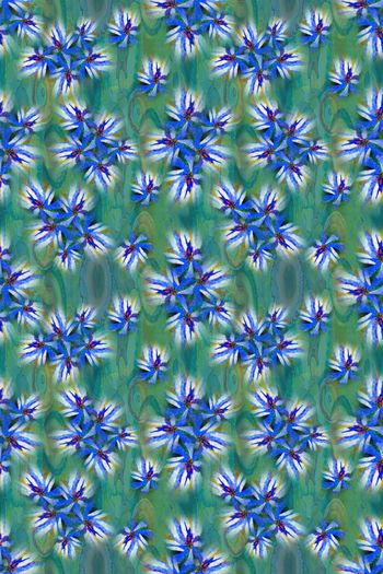 646701-10153ztkf 巴西（女装）2