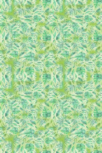 646710-10153ztkf 巴西（女装）2