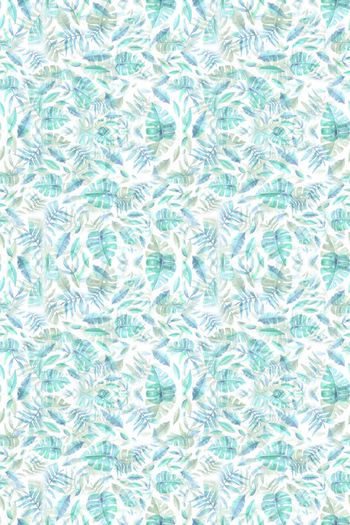 646711-10153ztkf 巴西（女装）2