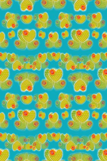 646716-10154ztkf 巴西（童装）2