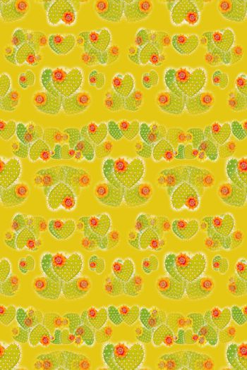 646717-10154ztkf 巴西（童装）2